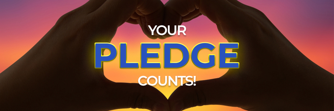 Pledge Banner
